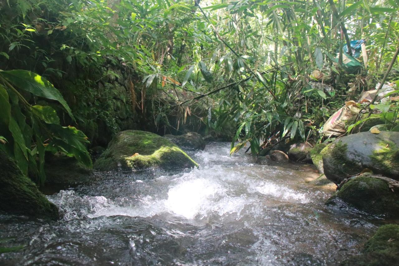 Nature Routes Cottage Munnar Buitenkant foto