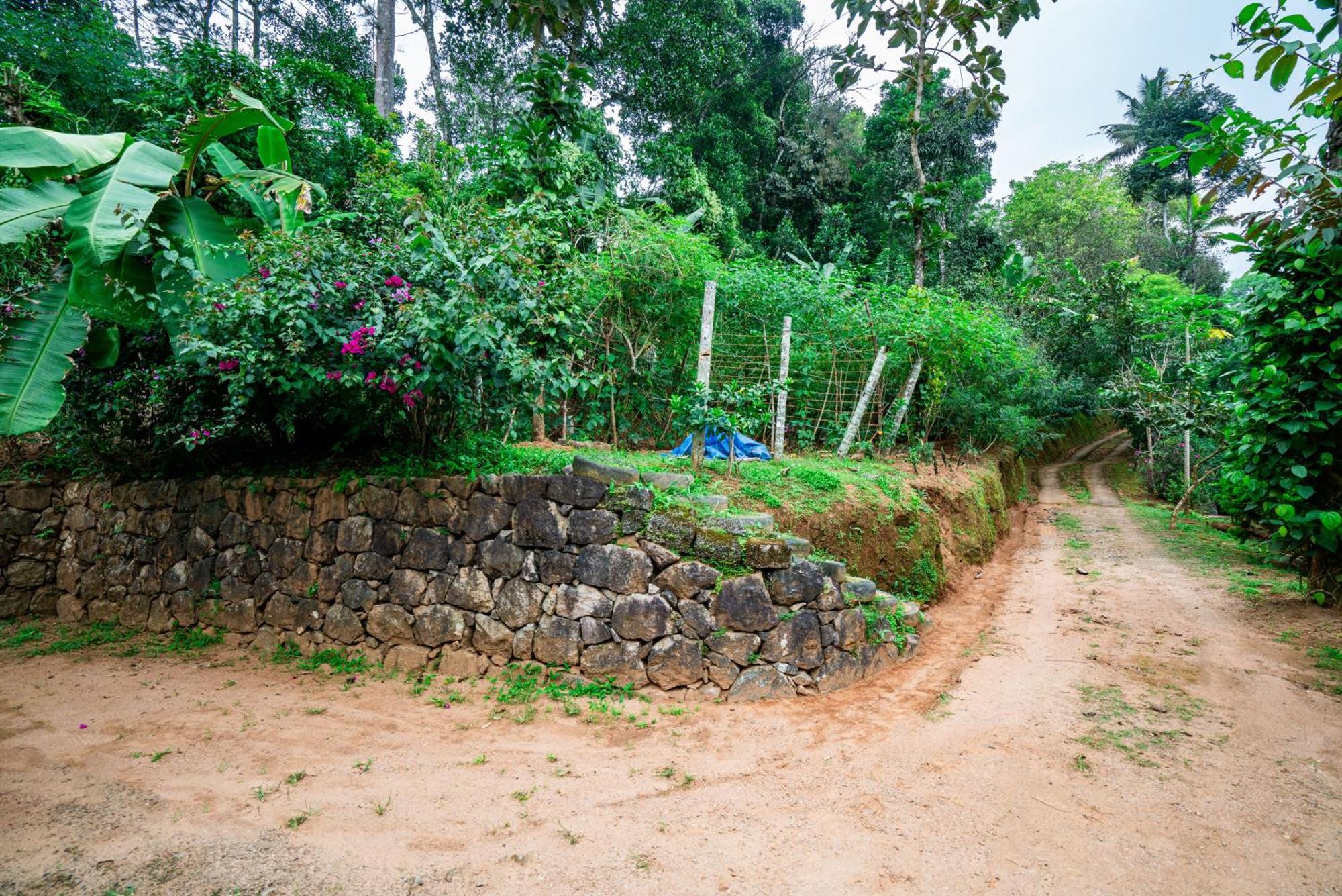 Nature Routes Cottage Munnar Buitenkant foto