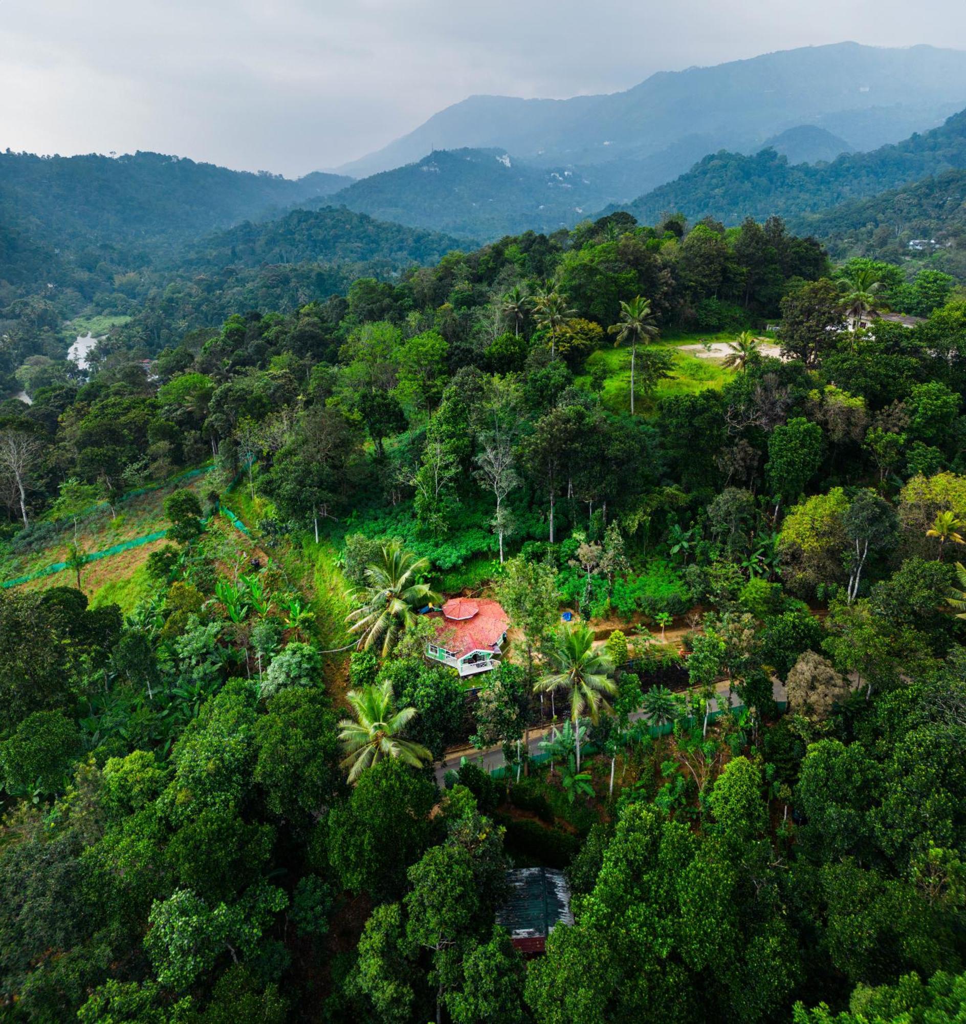 Nature Routes Cottage Munnar Buitenkant foto